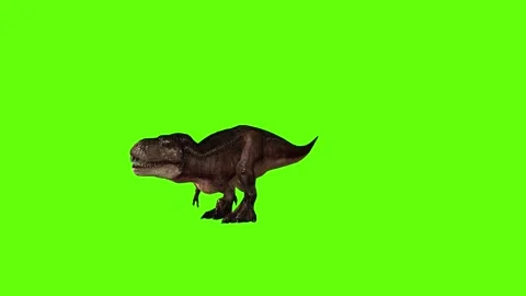 T.rex dinosaur hit tarso right green screen animation 3D rendering Stock Footage 279102651