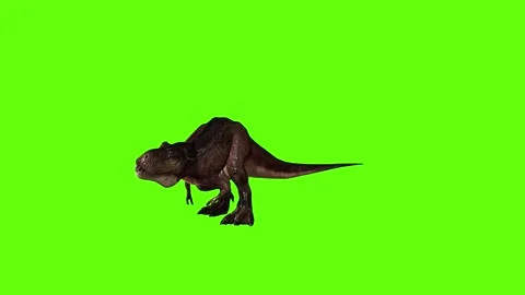 T.rex dinosaur human kill green screen animation 3D rendering Stock Footage 279102688