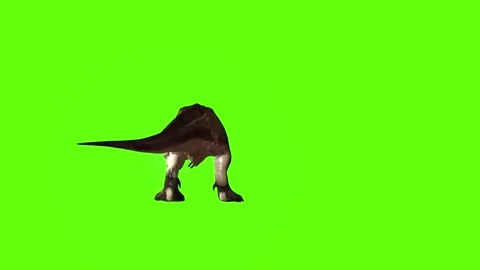 T.rex dinosaur human shake green screen animation 3D rendering Stock Footage 279102645