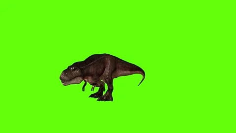 T.rex dinosaur idle attack  green screen animation 3D rendering Stock Footage 279101976