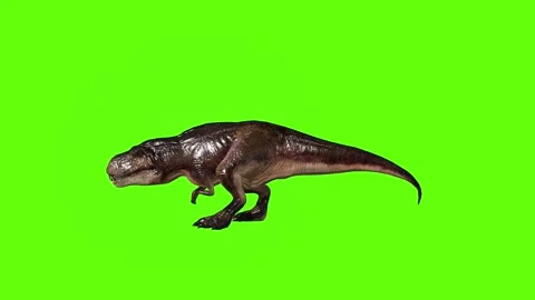 T.rex dinosaur idle attack  green screen animation 3D rendering Stock Footage 279101989