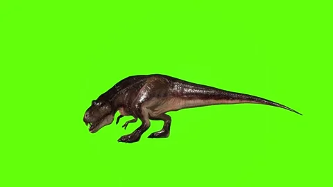 T.rex dinosaur idle attack run left green screen animation 3D rendering Stockbeeldmateriaal 279101990