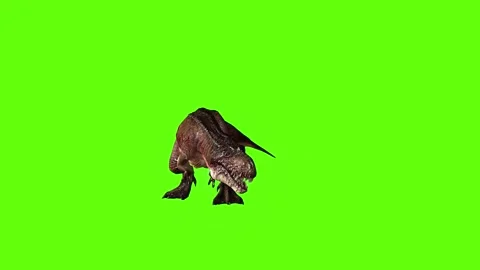 T.rex dinosaur idle attack run left  green screen animation 3D rendering Stock Footage 279102008