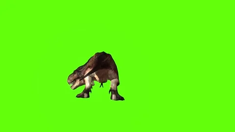 T.rex dinosaur idle attack run left  green screen animation 3D rendering Stock Footage 279102019