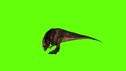 T.rex dinosaur idle attack run left green screen animation 3D rendering Stock Footage 279102025
