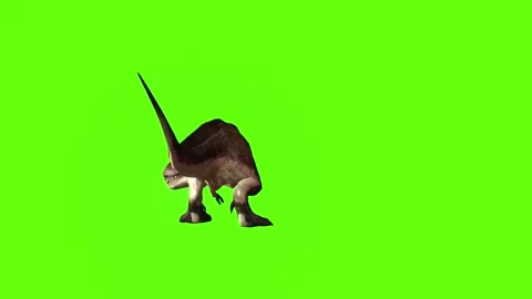 T.rex dinosaur look  left green screen animation 3D rendering Stock Footage 279342058