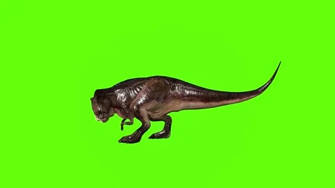 T.rex dinosaur look left green screen animation 3D rendering Stock Footage 279342764