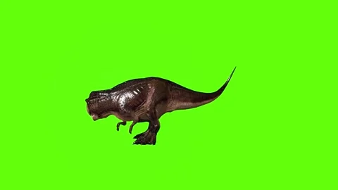 T.rex dinosaur look right green screen animation 3D rendering Stock Footage 279342328