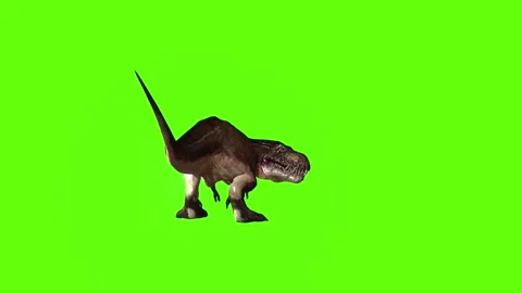 T.rex dinosaur look  right  green screen animation 3D rendering Stock Footage 279342330