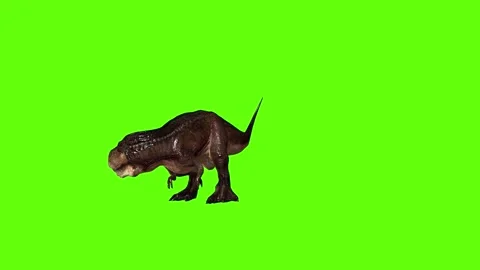 T.rex dinosaur look right green screen animation 3D rendering Video stock 279342769