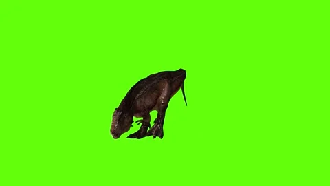 T.rex dinosaur mama cave bite out green screen animation 3D rendering Stock Footage 279342760