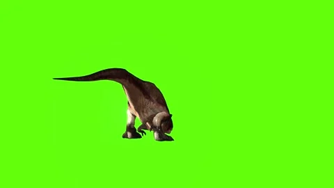 T.rex dinosaur mama cave bite loop green screen animation 3D rendering Stock Footage 279342777