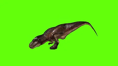 T.rex dinosaur mama cave bite out green screen animation 3D rendering Stock Footage 279342784