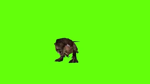T.rex dinosaur raptor kill long green screen animation 3D rendering Stock Footage 279342957