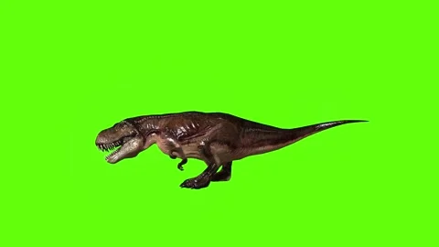 T.rex dinosaur raptor kill long green screen animation 3D rendering Stock Footage 279342966
