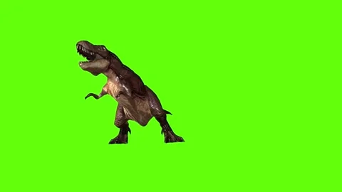 T.rex dinosaur raptor kill stand still green screen animation 3D rendering Stock Footage 279342986