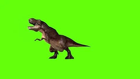 T.rex dinosaur raptor kill stand still green screen animation 3D rendering Stock Footage 279342988