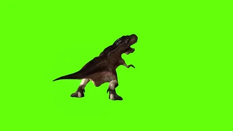 T.rex dinosaur raptor kill stand still green screen animation 3D rendering Stock Footage 279342994