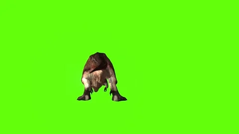 T.rex dinosaur roar green screen animation 3D rendering Stock Footage 279343003