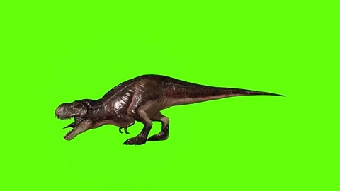 T.rex dinosaur roar green screen animation 3D rendering Stock Footage 279343012