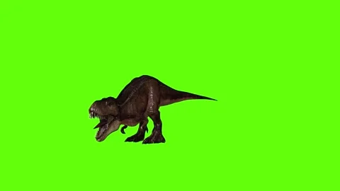T.rex dinosaur roar green screen animation 3D rendering Stock Footage 279343022
