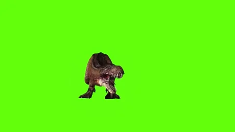 T.rex dinosaur roar left  green screen animation 3D rendering Stock Footage 279343015