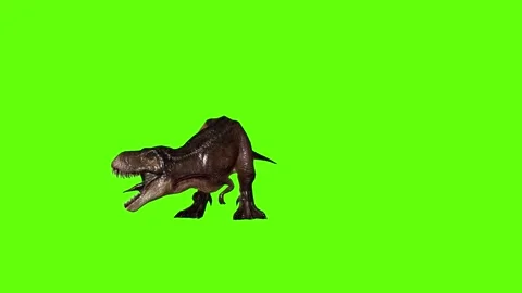 T.rex dinosaur roar right green screen animation 3D rendering Stock Footage 279343018