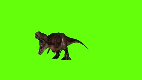 T.rex dinosaur roar step forward green screen animation 3D rendering Stock Footage 279416562