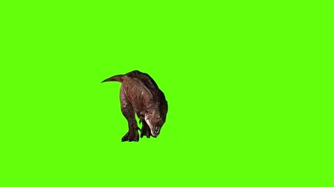T.rex dinosaur run bite green screen animation 3D rendering Stock Footage 279416565