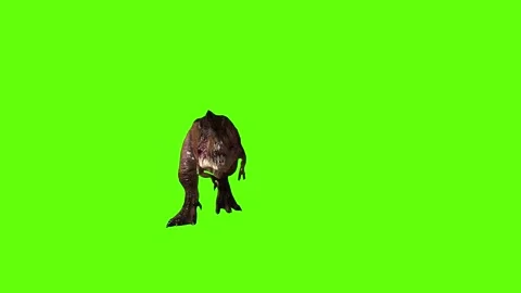 T.rex dinosaur run front stop green screen animation 3D rendering Video stock 279416699