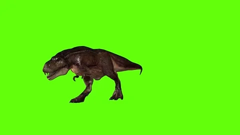 T.rex dinosaur run green screen animation 3D rendering Stock Footage 279416857