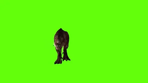 T.rex dinosaur run green screen animation 3D rendering Stock Footage 279416863