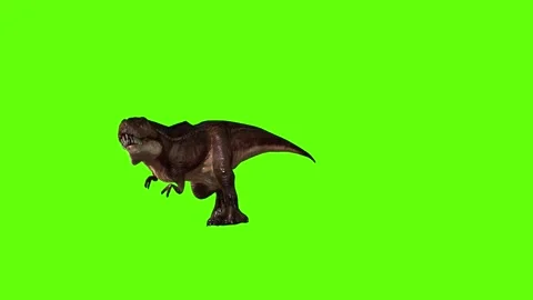 T.rex dinosaur run head butt green screen animation 3D rendering Stock Footage 279416702