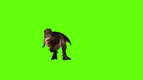 T.rex dinosaur run head butt green screen animation 3D rendering Stock Footage 279416704