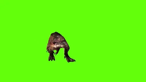 T.rex dinosaur run head butt left  green screen animation 3D rendering Stock Footage 279416735