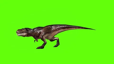 T.rex  dinosaur run head butt green screen animation 3D rendering Stock Footage 279416738
