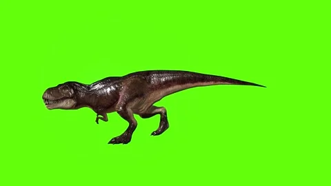 T.rex dinosaur run head butt left green screen animation 3D rendering Stock Footage 279416748