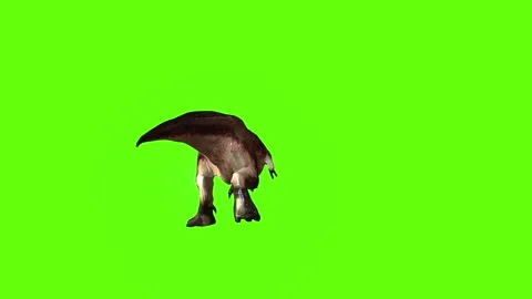 T.rex dinosaur run head butt right green screen animation 3D rendering Stock Footage 279416791