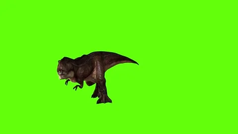 T.rex dinosaur run head butt right green screen animation 3D rendering Stock Footage 279416794
