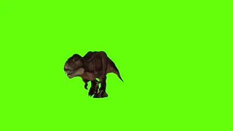 T.rex dinosaur run head low green screen animation 3D rendering Stockbeeldmateriaal 279416795