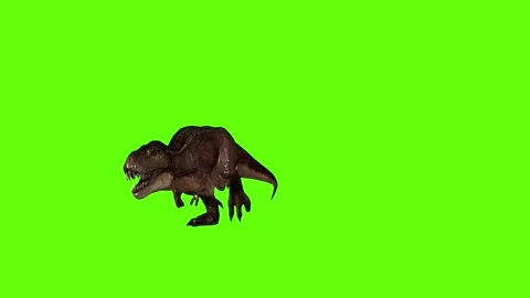 T.rex dinosaur run head low green screen animation 3D rendering Stock Footage 279416809