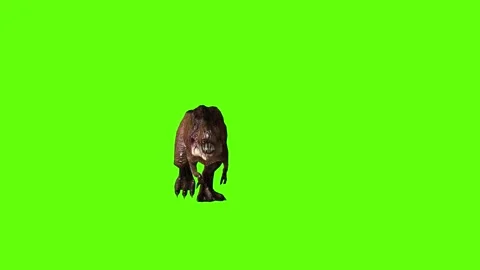 T.rex dinosaur run head low green screen animation 3D rendering Stock Footage 279416811