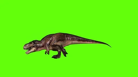 T.rex dinosaur run head low green screen animation 3D rendering Stock Footage 279416813