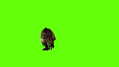 T.rex dinosaur run head low green screen animation 3D rendering Stock Footage 279416816