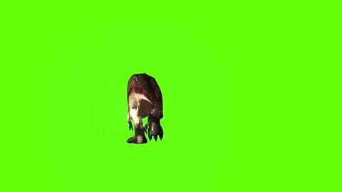 T.rex dinosaur run head low green screen animation 3D rendering Stock Footage 279416855