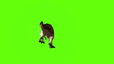 T.rex  dinosaur sprint green screen animation 3D rendering Stock Footage 279416872