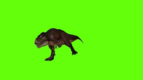 T.rex dinosaur sprint  green screen animation 3D rendering Video stock 279416881