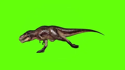 T.rex dinosaur sprint green screen animation 3D rendering Stock Footage 279416886