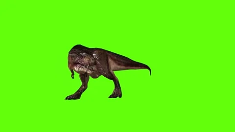 T.rex dinosaur sprint look left green screen animation 3D rendering Stock Footage 279416947