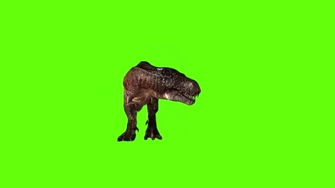 T.rex dinosaur sprint look left green screen animation 3D rendering Stock Footage 279416952